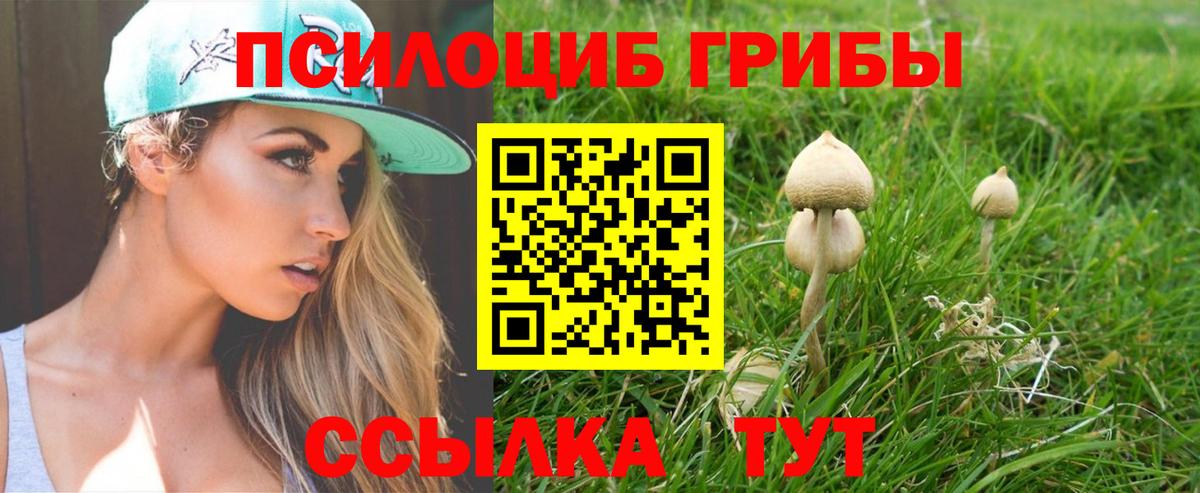 Муром  Галлюциногенные грибы Cubensis  Вход с VPN 
