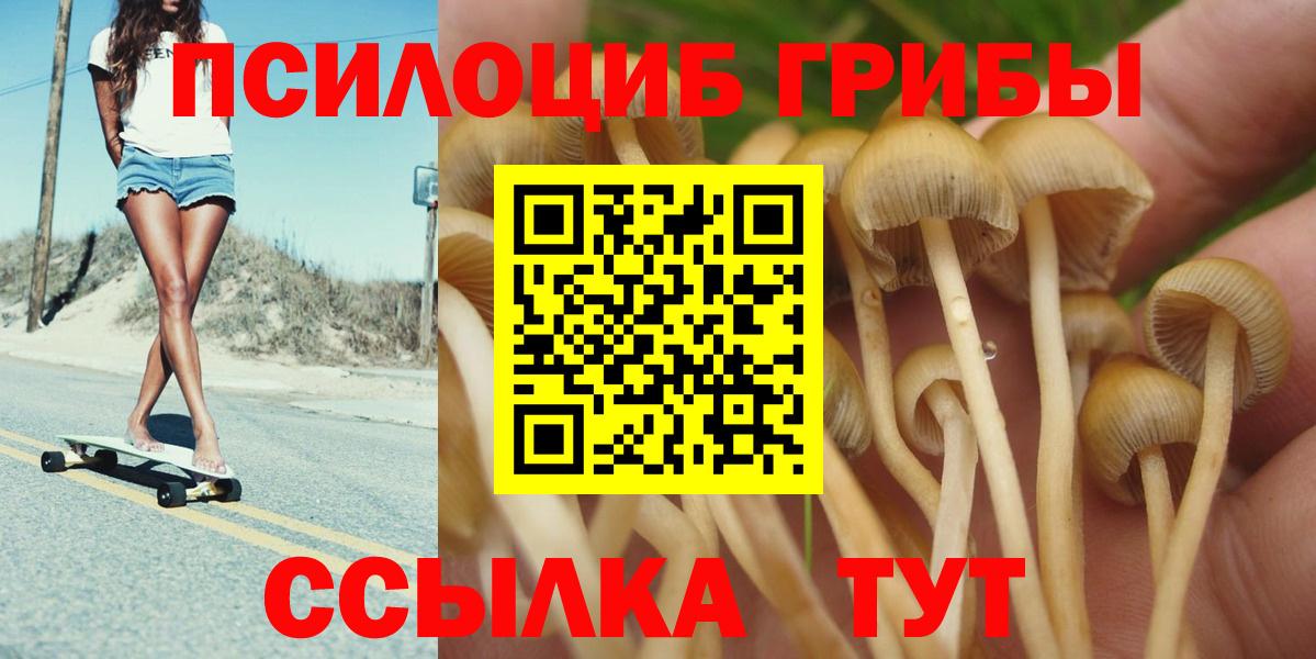 Псилоцибиновые грибы ЛСД Муром